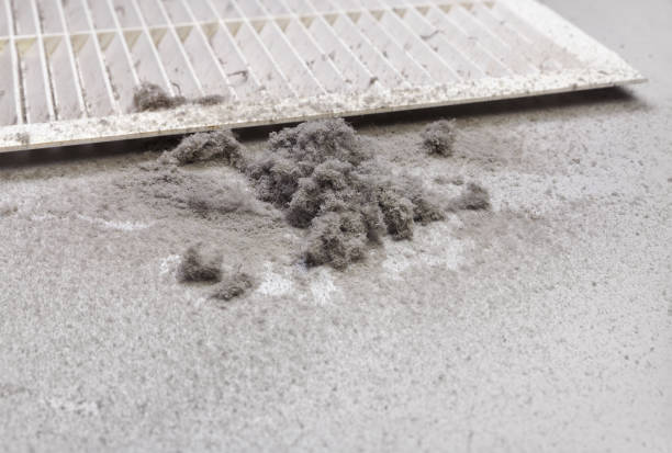 Best Ventilation Cleaning Services  in Roodhouse, IL