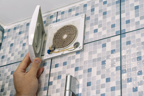 Best Air Duct Sanitizing Services  in Roodhouse, IL