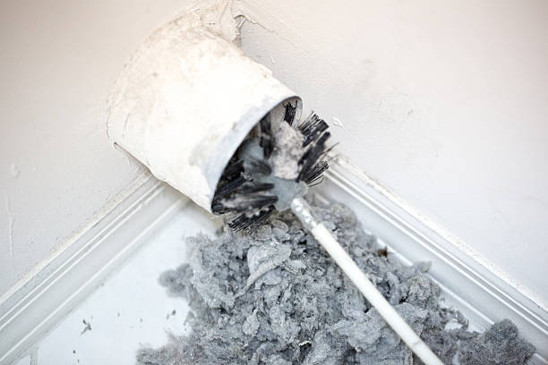 Best Residential Air Duct Cleaning  in Roodhouse, IL