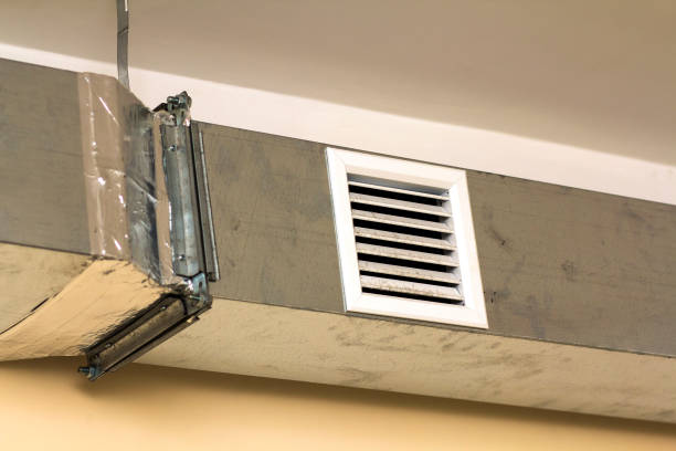 Best HVAC Duct Inspection Services  in Roodhouse, IL